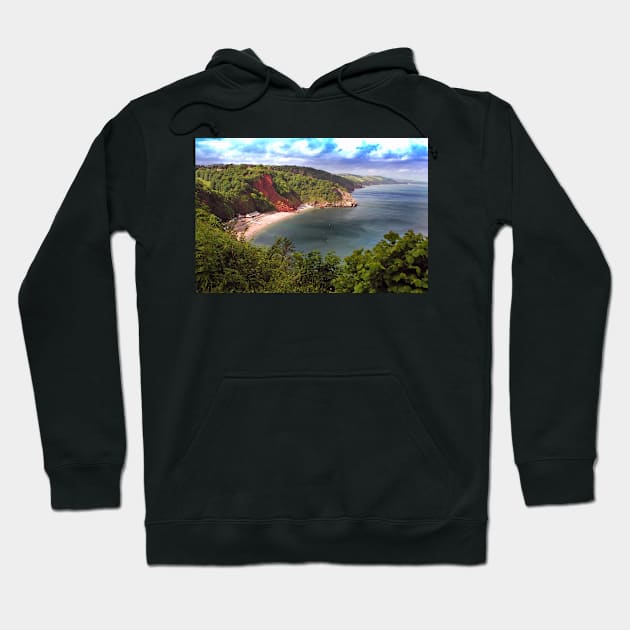 Oddicombe Beach Babbacombe Bay Devon Hoodie by AndyEvansPhotos